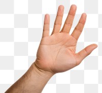 PNG Hand hand finger white background. AI generated Image by rawpixel.