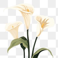 PNG Calla lilly flower plant petal lily. AI generated Image by rawpixel.