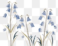 PNG Wild bluebell flowers plant amaryllidaceae freshness. AI generated Image by rawpixel.