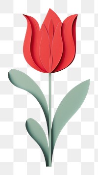 PNG Red tulip flower petal plant. 