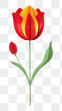 PNG Red tulip flower plant red. 