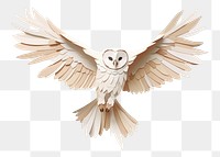 PNG Barn owl animal craft bird. 