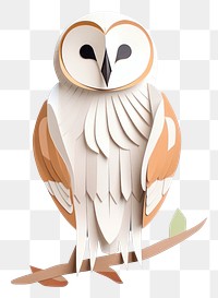 PNG Barn owl animal bird representation. 