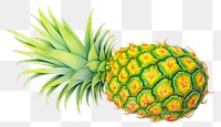 PNG Pineapple pineapple drawing fruit. AI generated Image by rawpixel.