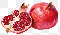 PNG Pomegranate pomegranate fruit plant