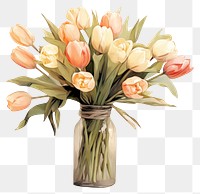 PNG Vase painting flower tulip. 