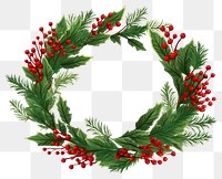 PNG Christmas wreath christmas plant  