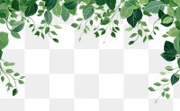 PNG Greenery backgrounds plant leaf