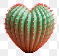 PNG Heart cactus plant heart pattern. 