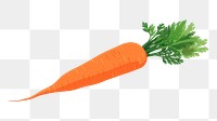 PNG Carrot food vegetable plant. 