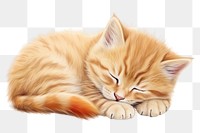 PNG Sleeping kitten animal mammal. 