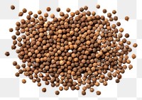 PNG Coriander seeds backgrounds food  