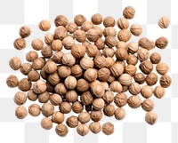 PNG Coriander seeds backgrounds vegetable food. 