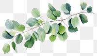 PNG Plant green leaf tree