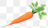 PNG Carrot food vegetable plant. 