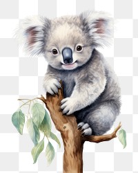 PNG Koala mammal animal representation. AI generated Image by rawpixel.