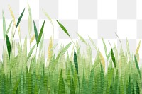 PNG Grass grass backgrounds plant. AI generated Image by rawpixel.