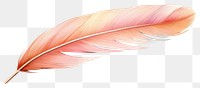 PNG Feather petal leaf  