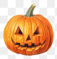 PNG Jack o lantern vegetable halloween pumpkin. 