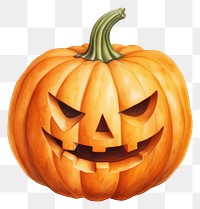 PNG Jack o lantern vegetable halloween pumpkin. 