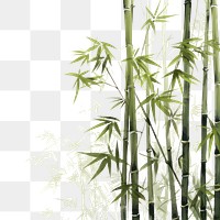 PNG Bamboo jungle backgrounds plant  