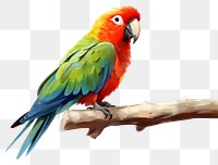 PNG Parrot animal bird lovebird. AI generated Image by rawpixel.