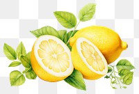 PNG Oyster seafood lemon fruit plant. AI generated Image by rawpixel.