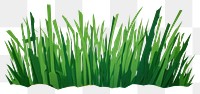 PNG Green grass plant lawn  