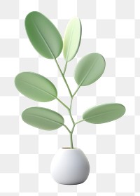 PNG Eucalyptus icon plant vase leaf. 