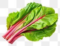 PNG Vegetable rhubarb plant food. 