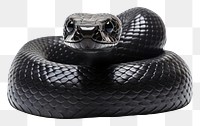 PNG Black snake reptile animal 