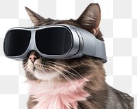 PNG A Cat wearing VR glasses sunglasses mammal pet. 