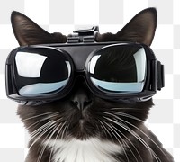 PNG A Cat wearing VR glasses sunglasses mammal animal. 