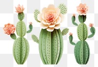 PNG Cactus flower plant representation. 