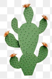 PNG Cactus plant white background representation. 