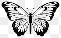 PNG Butterfly drawing animal insect. 