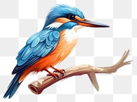 PNG Cartoon kingfisher sketch animal bird beak. 