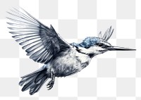 PNG Flying kingfisher sketch drawing animal bird. AI generated Image by rawpixel.