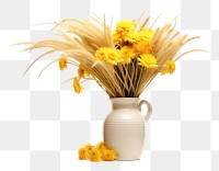 PNG Flower vase plant white background. AI generated Image by rawpixel.