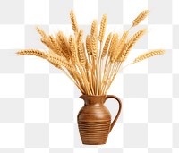 PNG Wheat food vase triticale. 