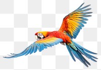 PNG Parrot fly animal macaw bird. AI generated Image by rawpixel.