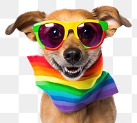 PNG Pride month dog sunglasses mammal. 