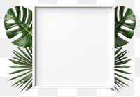 PNG Simple minimal frame plant leaf rectangle. AI generated Image by rawpixel.