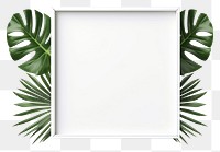 PNG Simple minimal frame plant leaf rectangle. 