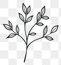 PNG Simple plant doodle pattern drawing sketch. AI generated Image by rawpixel.
