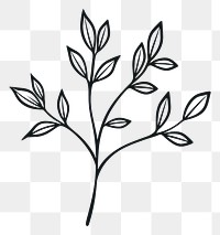 PNG Simple plant doodle pattern drawing sketch. 