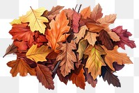 PNG Backgrounds leaves autumn maple. AI generated Image by rawpixel.