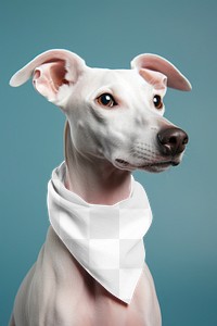 Dog scarf png mockup, transparent design