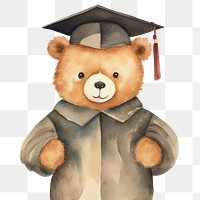 PNG Graduation student cartoon bear. 