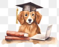 PNG Dog graduation computer student. 